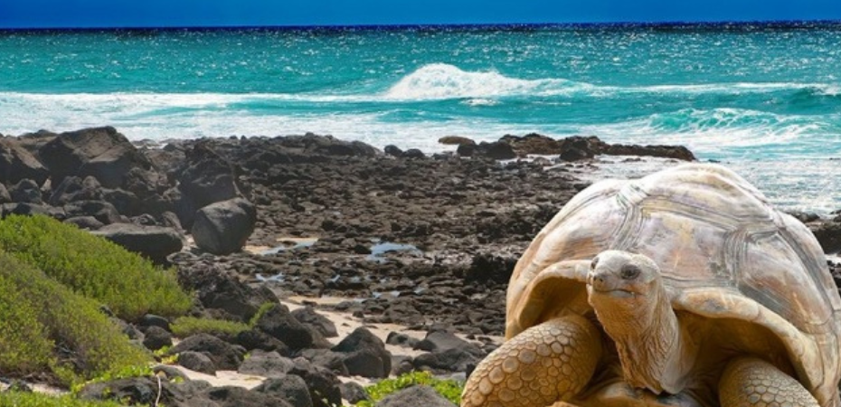 Plan Completo Galápagos